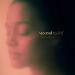 Dionso & Xandros Neo-Soul Toolkit Vol.3 WAV