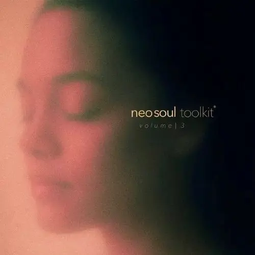 Dionso & Xandros Neo-Soul Toolkit Vol.3 WAV