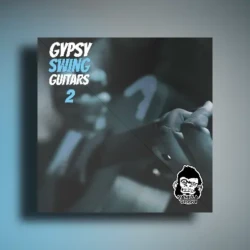 Vanilla Groove Studios Gypsy Swing Guitars Vol 2 WAV