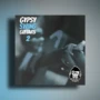 Vanilla Groove Studios Gypsy Swing Guitars Vol 2 WAV
