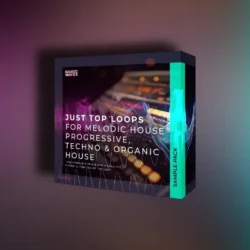 Basic Wavez Just Top Loops WAV