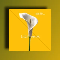 VOCAL GXD Lily: Afrobeats Sample Pack WAV