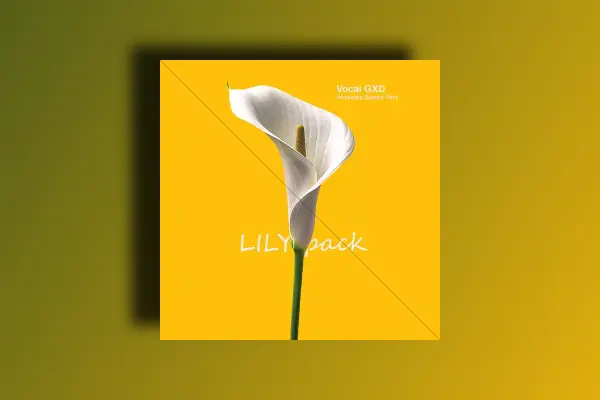 VOCAL GXD Lily: Afrobeats Sample Pack WAV