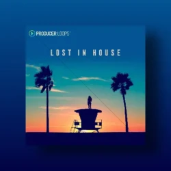 Producer Loops Lost In House for Serum