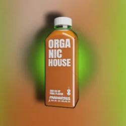 Munchies Jukebox Organic House Vol.1 WAV MIDI FXP