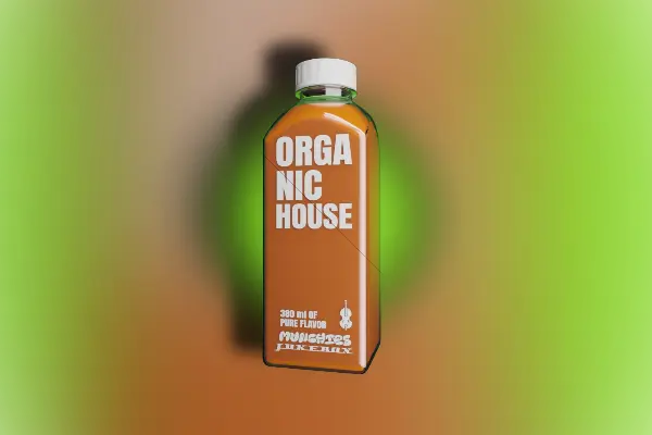 Munchies Jukebox Organic House Vol.1 WAV MIDI FXP