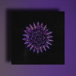 Key Jungle Purple Modern Rnb Samples WAV MIDI