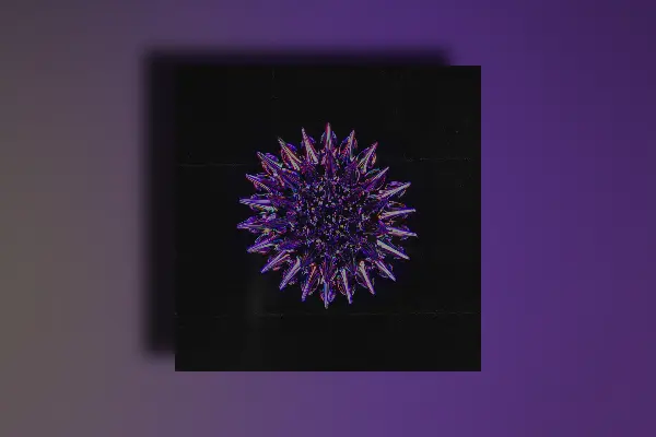 Key Jungle Purple Modern Rnb Samples WAV MIDI