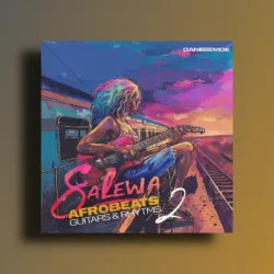 Daneemoe SALEWA Vol 2 – Afrobeats Guitars & Rhythms WAV