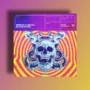 Splice Originals Serum 2 2000s Bloghouse [WAV SERUM 2 PRESETS]