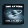 Big Z Sounds The Afters - Peak Time House Presets for Serum 2