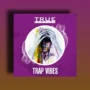 True Samples Trap Vibes WAV MIDI