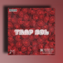Major Loops Trap Sol WAV