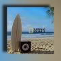 Mingo Surfswag Vol.3 Kit WAV
