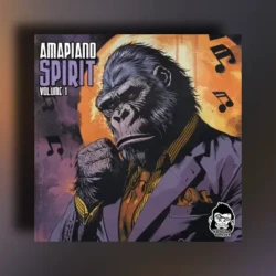 Vanilla Groove Studios Amapiano Spirit Vol 1 WAV
