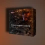 Basic Wavez Dulus Drum Loops Vol.2 WAV