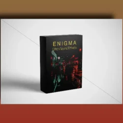 The Northern Sounds Enigma - Glitch Sound Effects WAV
