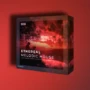 Basic Wavez Ethereal Melodic House By Kliran B WAV