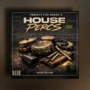 Sound Factory House Percs Presets for Serum 2