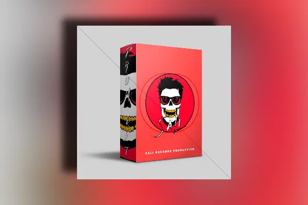 Sali Records Production Drum Kit WAV