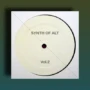 Alberto Tolo Synth Of Alt Vol.2 Sample Pack WAV