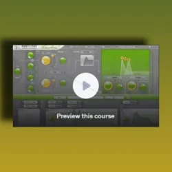 Udemy Delay Masterclass TUTORIAL