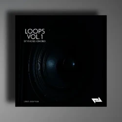 Vinicius Honorio Loops Vol.01 WAV