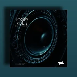 Vinicius Honorio Loops Vol.02 WAV