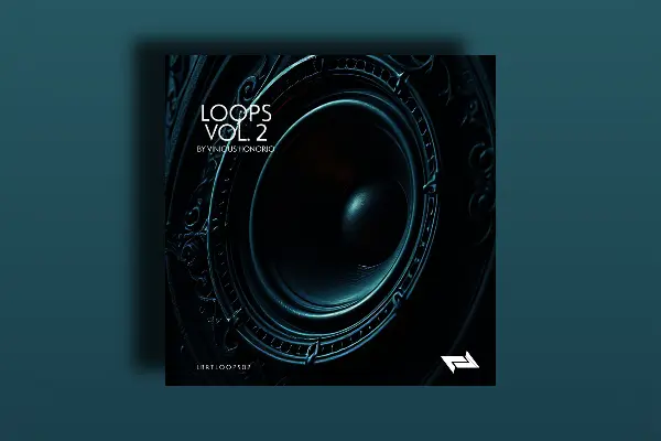 Vinicius Honorio Loops Vol.02 WAV