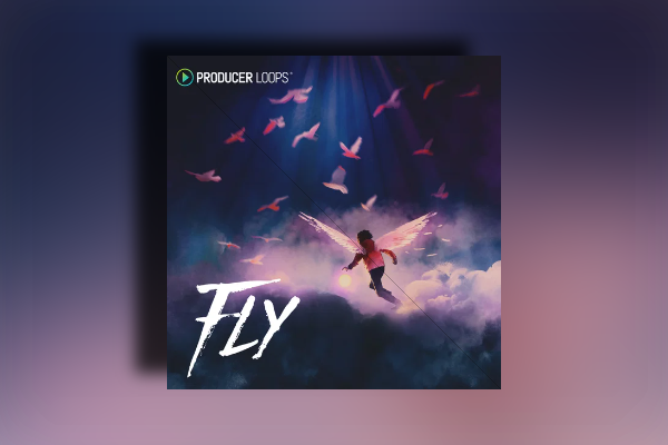 Producer Loops Fly WAV MIDI