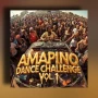 Crazy Beats Amapiano Dance Challenge Vol.1 WAV MIDI