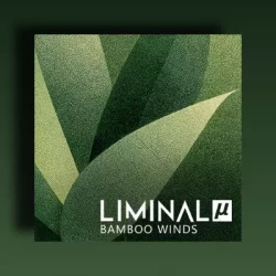 Crocus Soundware Liminal µ: Bamboo Winds KONTAKT