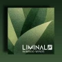 Crocus Soundware Liminal µ: Bamboo Winds KONTAKT