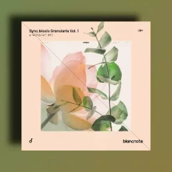 Blancnote Artikko Sync.Biosis Granularia Vol.1 WAV MIDI FXP