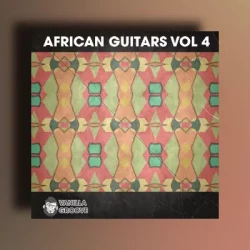 Vanilla Groove Studios African Guitars Vol.4 WAV