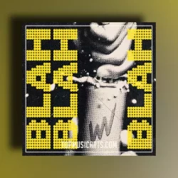 Top Music Arts Biscits - Blah Blah Blah (Ableton Remake)