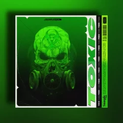 Sample Hub DETOX WAV