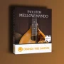 Orange Tree Samples Evolution Mellow Mando v1.3.5 KONTAKT
