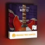 Orange Tree Samples Evolution Rick 12 v1.3.5 KONTAKT