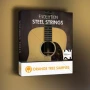 Orange Tree Samples Evolution Steel Strings v1.3.5 KONTAKT