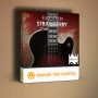 Orange Tree Samples Evolution Strawberry v1.3.5 KONTAKT