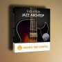 Orange Tree Samples Evolution Jazz Archtop v1.3.5 KONTAKT