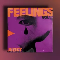 Juzicy Music Library Vol.1 (Compositions & Stems) WAV
