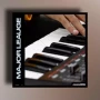Sample Hub Major Leauge WAV