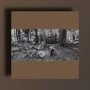 MFSamples MFS Stabs Pack WAV
