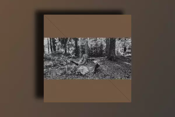 MFSamples MFS Stabs Pack WAV