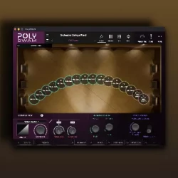 Audio Modeling PolySWAM v1.0.0 VST3 AU AAX STANDALONE