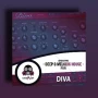 Vandalism Shocking Deep & Melodic House For Diva
