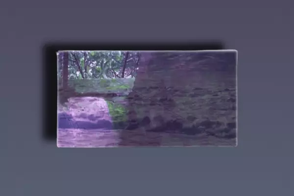 Thotsxo Japan & Thots Archives (Kit + ElectraX Bank)